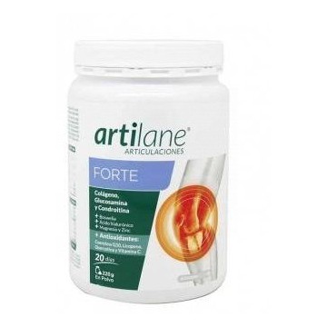 Artilane Forte Polvo 220g